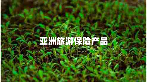 亞洲旅游保險(xiǎn)產(chǎn)品 亞洲旅游保險(xiǎn)產(chǎn)品