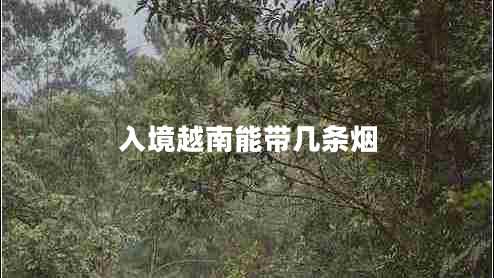 入境越南能帶幾條煙 入境越南能帶幾條煙