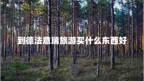 到德法意瑞旅游買什么東西好 到德法意瑞旅游買什么東西好