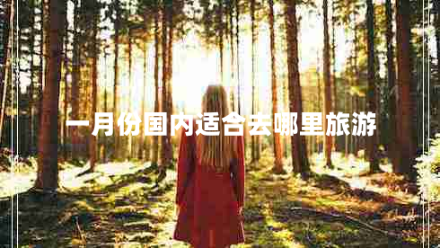 一月份國內(nèi)適合去哪里旅游