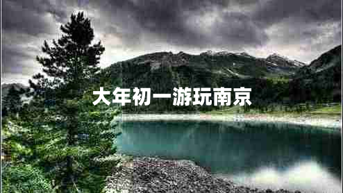 大年初一游玩南京 大年初一游玩南京