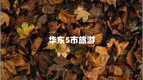 華東5市旅游 華東5市旅游