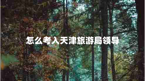 怎么考入天津旅游局領導
