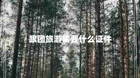 跟團(tuán)旅游需要什么證件