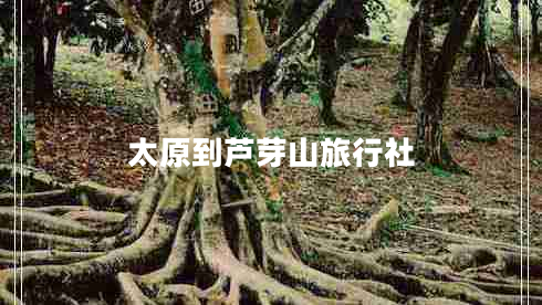 太原到蘆芽山旅行社 太原到蘆芽山旅行社