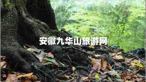 安徽九華山旅游網(wǎng)
