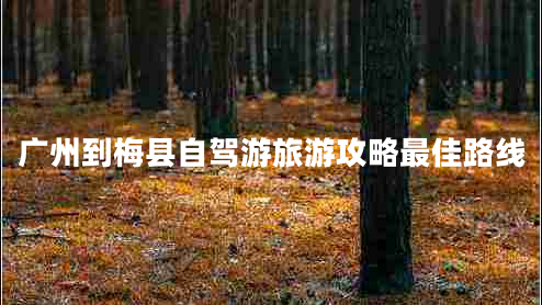 廣州到梅縣自駕游旅游攻略最佳路線 廣州到梅縣自駕游旅游攻略最佳路線