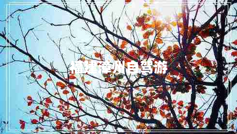 福建漳州自駕游