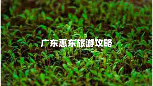 廣東惠東旅游攻略