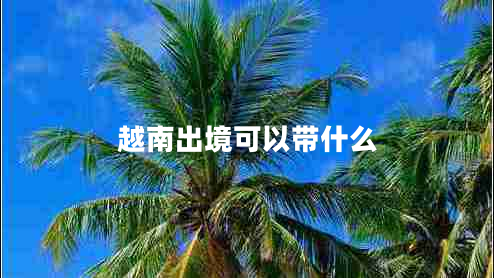 越南出境可以帶什么