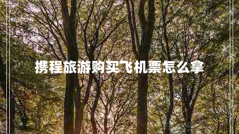 攜程旅游購買飛機票怎么拿