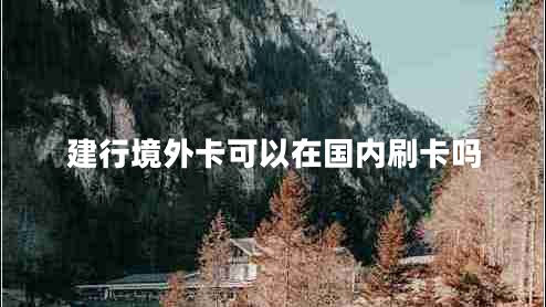 建行境外卡可以在國內刷卡嗎