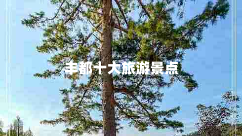 豐都十大旅游景點(diǎn)