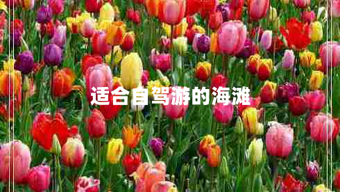 適合自駕游的海灘