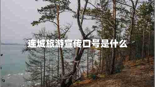 連城旅游宣傳口號是什么