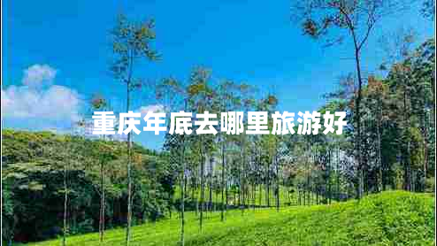 重慶年底去哪里旅游好