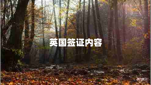 英國(guó)簽證內(nèi)容