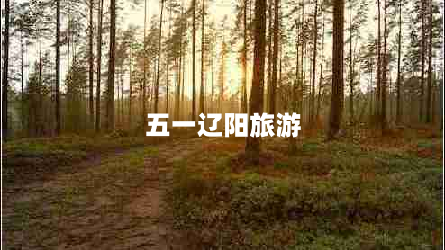 五一遼陽旅游 五一遼陽旅游