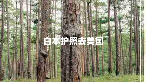 白本護(hù)照去美國(guó)