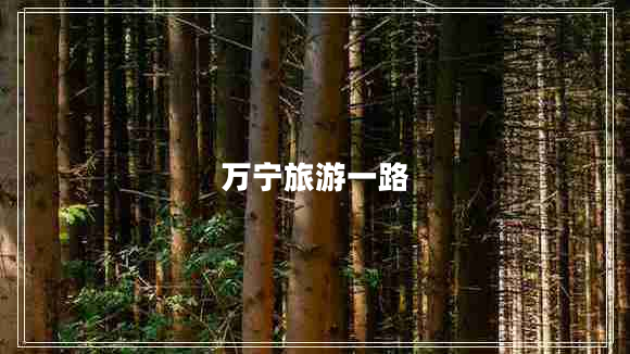 萬(wàn)寧旅游一路