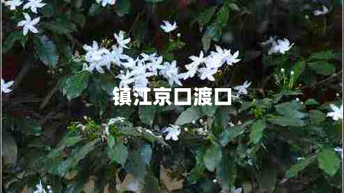 鎮(zhèn)江京口渡口