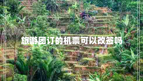 旅游團(tuán)訂的機(jī)票可以改簽嗎