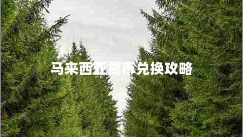 馬來(lái)西亞貨幣兌換攻略