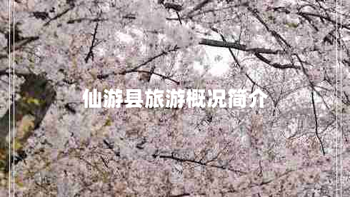 仙游縣旅游概況簡(jiǎn)介 仙游縣旅游概況簡(jiǎn)介