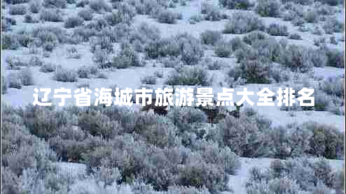 遼寧省海城市旅游景點(diǎn)大全排名