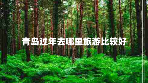 青島過年去哪里旅游比較好