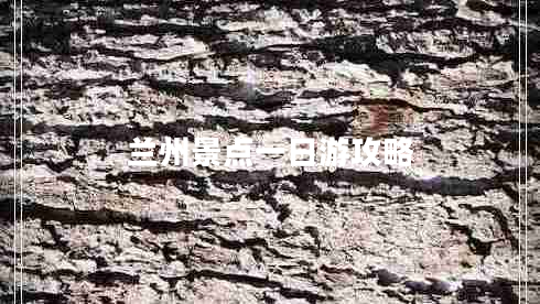 蘭州景點一日游攻略 蘭州景點一日游攻略