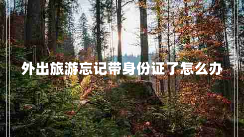 外出旅游忘記帶身份證了怎么辦