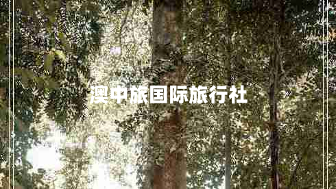 澳中旅國際旅行社