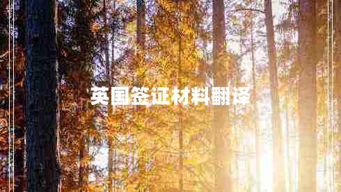 英國簽證材料翻譯