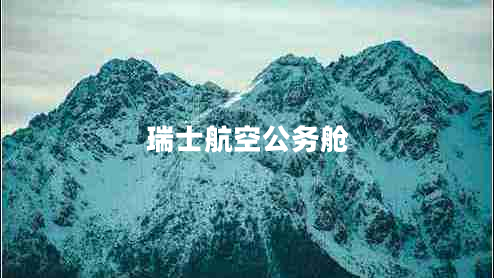 瑞士航空公務(wù)艙