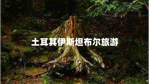 土耳其伊斯坦布爾旅游 土耳其伊斯坦布爾旅游