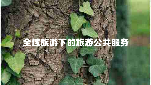 全域旅游下的旅游公共服務 全域旅游下的旅游公共服務