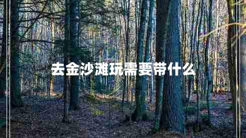 去金沙灘玩需要帶什么