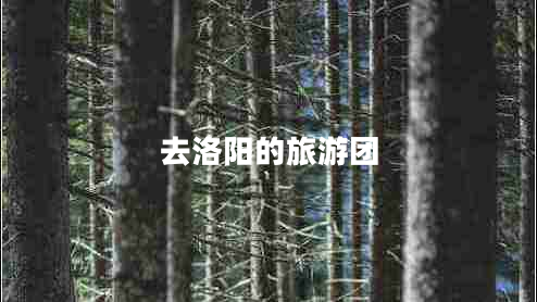 去洛陽的旅游團 去洛陽的旅游團