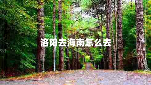 洛陽去海南怎么去