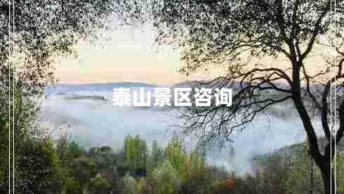 泰山景區(qū)咨詢(xún)