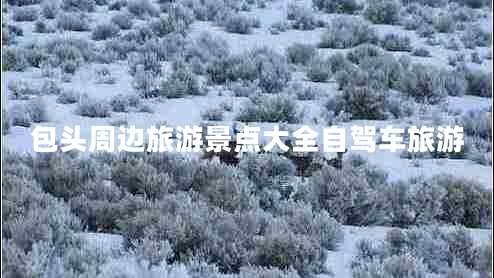 包頭周邊旅游景點大全自駕車旅游 包頭周邊旅游景點大全自駕車旅游