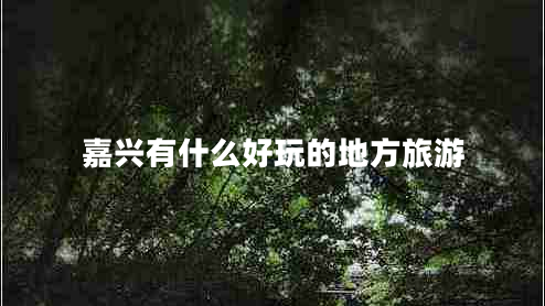 嘉興有什么好玩的地方旅游 嘉興有什么好玩的地方旅游