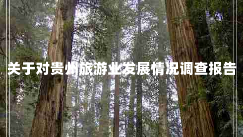 關(guān)于對(duì)貴州旅游業(yè)發(fā)展情況調(diào)查報(bào)告