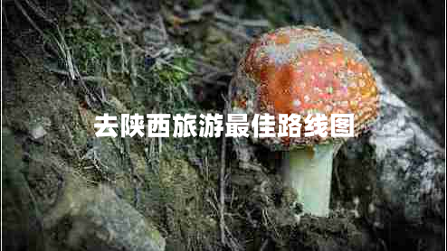 去陜西旅游最佳路線圖 去陜西旅游最佳路線圖
