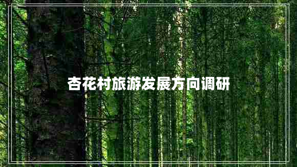 杏花村旅游發(fā)展方向調(diào)研 杏花村旅游發(fā)展方向調(diào)研