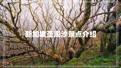 新加坡圣淘沙景點(diǎn)介紹