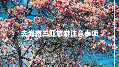 去海南三亞旅游注意事項