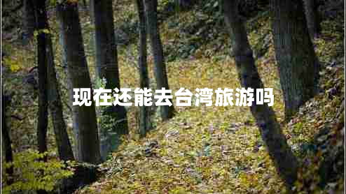 現(xiàn)在還能去臺灣旅游嗎