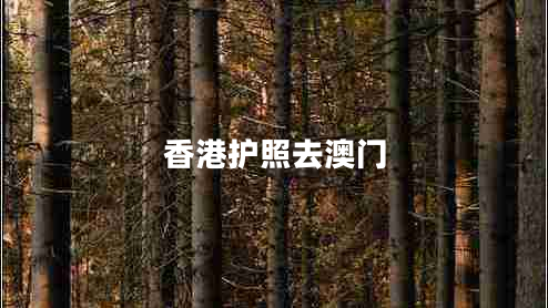 香港護照去澳門 香港護照去澳門